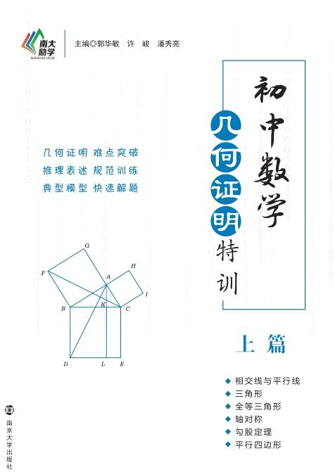 初中数学几何特训·上篇