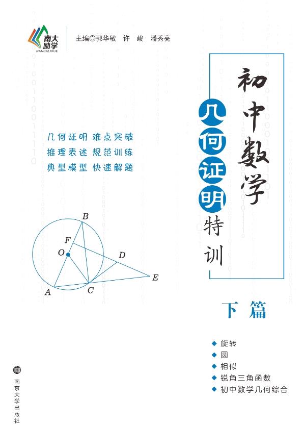 初中数学几何特训·下篇